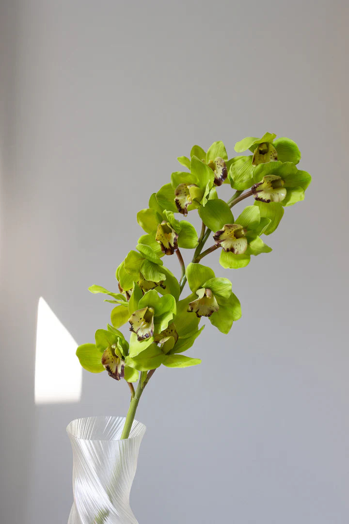 Künstliche naturgetreue Cymbidium-Orchidee, Grün